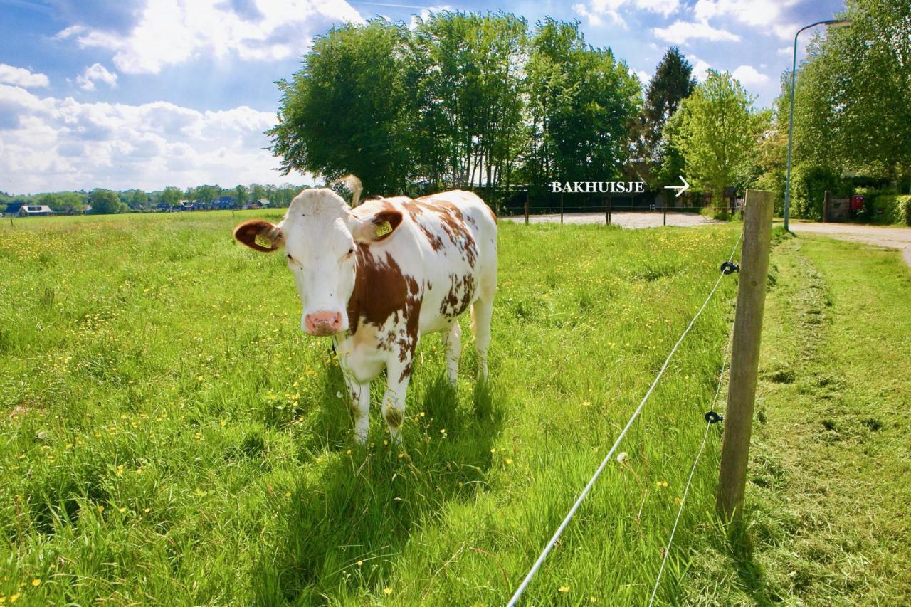 Bakhuisje Op De Veluwe Heerde Extérieur photo