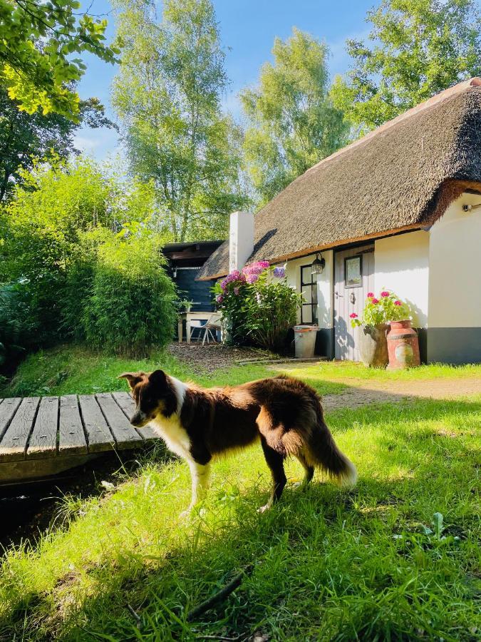 Bakhuisje Op De Veluwe Heerde Extérieur photo