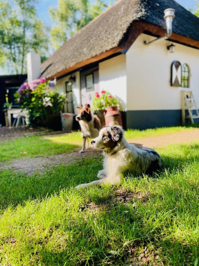 Bakhuisje Op De Veluwe Heerde Extérieur photo